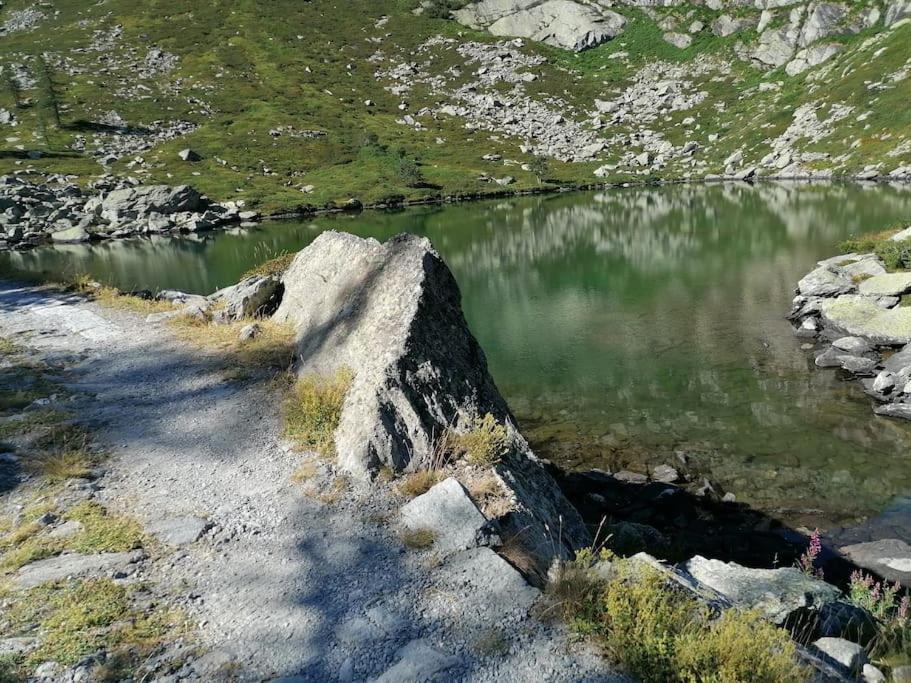 Chalet Del Paese Incantato مونسينيسيو المظهر الخارجي الصورة