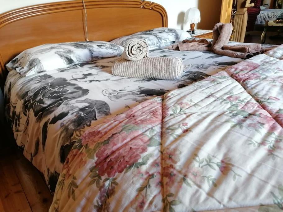 Chalet Del Paese Incantato مونسينيسيو المظهر الخارجي الصورة