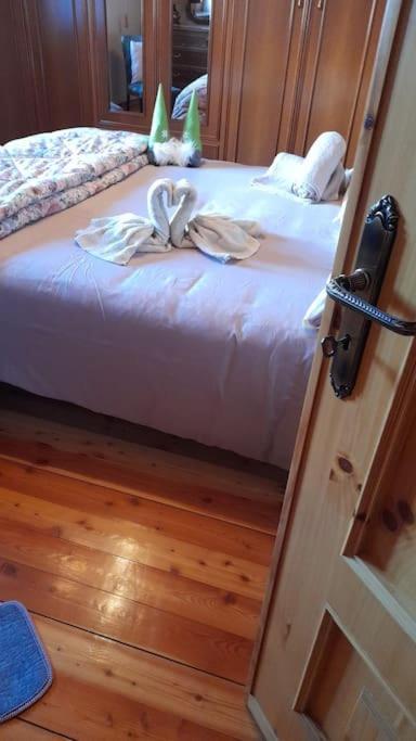 Chalet Del Paese Incantato مونسينيسيو المظهر الخارجي الصورة